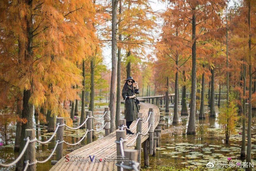 虫虫助手下载